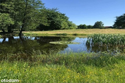 Pięknie położone siedlisko, w okolicach Olsztyna