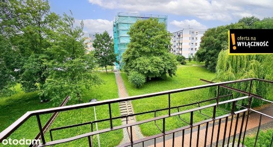 2 pokojowe mieszkanie w centrum Połańca