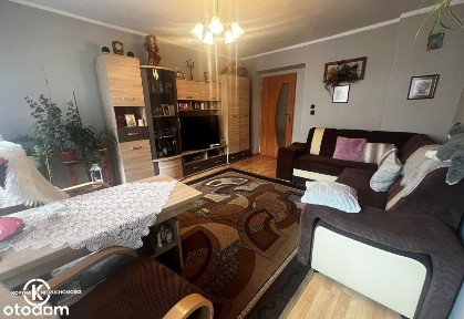 Na sprzedaż 2-pokojowe mieszkanie, niski czynsz