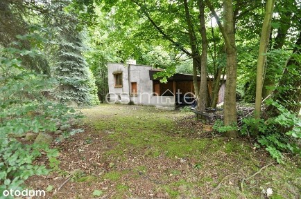 Działka i dom 20 minut od Łodzi w cichej okolicy