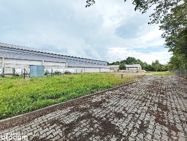 Baszewice, Gryfice, gryficki, zachodniopomorskie