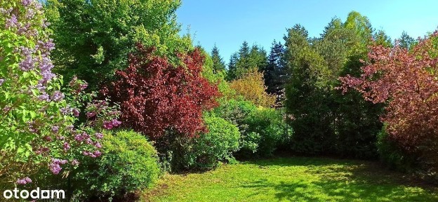 Na sprzedaż segment z ogródkiem i wspaniałym widokiem. 以下为中文文本