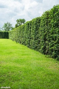 Wyjątkowy NAROŻNY OGRÓD 243m2! Bezczynszowy prywatny DOM z garażem!