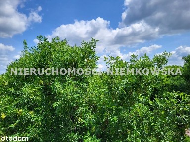 ul. Feliksa Orlickiego, Wojska Polskiego, Gliwice, śląskie