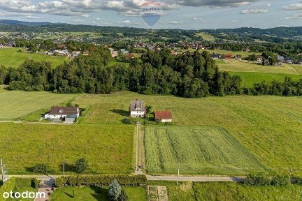 Dom do remontu na ponad 35 ar działce!