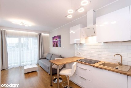 Kawalerka dla Firm Plewiska dowolny termin wynajmu