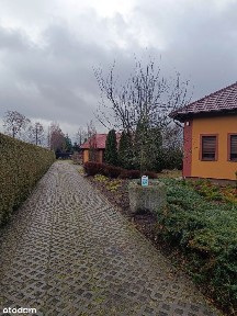 Dom na działce ze stawem, przy lesie.