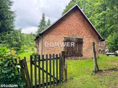 Kawalerka w Kleśnie