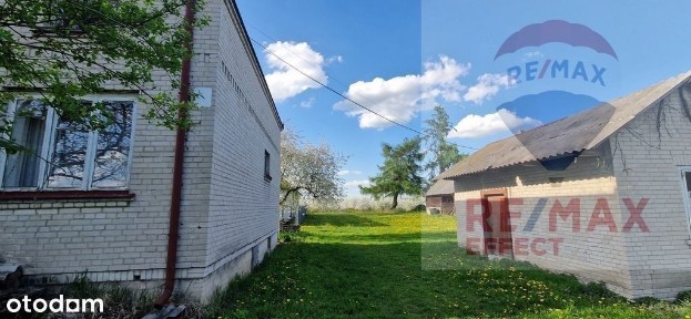 Na sprzedaż gospodarstwo sadownicze