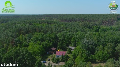 ENKLAWA prezentuje: LEŚNICZÓWKA niedaleko Krosna Odrzańskiego! CUDO!