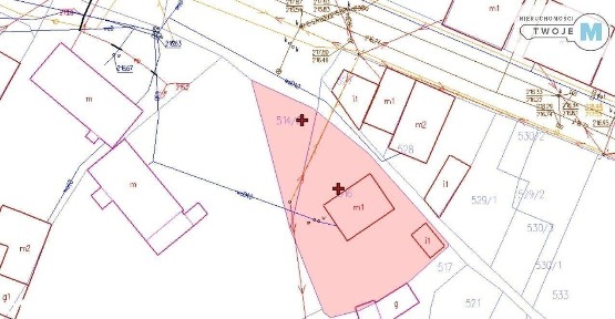 Dom Jednorodzinny, Centrum, Z Dużym potencjałem