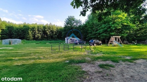 Siedlisko typu ustronny zakątek