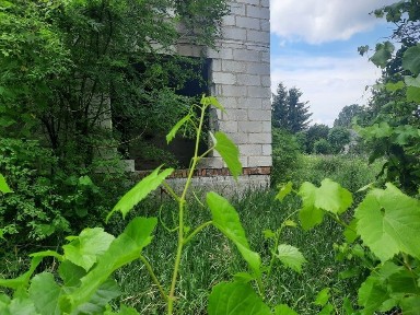 Dom do remontu z prywatną działką nad wodą