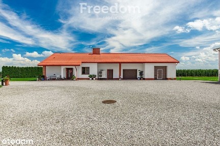 Gospodarstwo z eleganckim domem, halą i maszynami