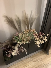 Mazowieckie, Warszawa, Śródmieście