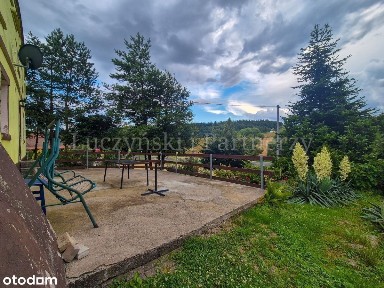 Dom z dużą działką - Pasiecznik