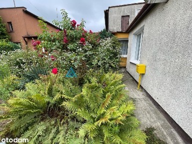 ul. Dachnowskiego, Chylonia, Gdynia, pomorskie