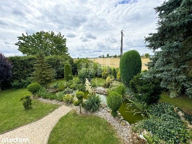 DOM z własnym stawem