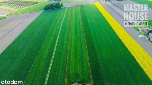 Dom z zabudowaniami w Sadowiu