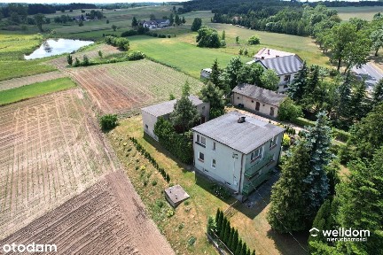 Siedlisko ze stawem, duża działka, budynki gospodarcze, blisko Lipna.