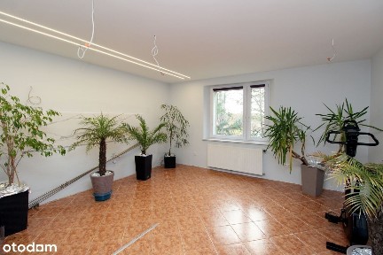 Rogów Opolski, Krapkowice, krapkowicki, opolskie