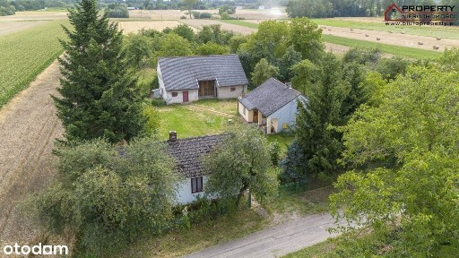Gospodarstwo - dwa domy, stodoła, Pawłów - 25km od Buska-Zdroju