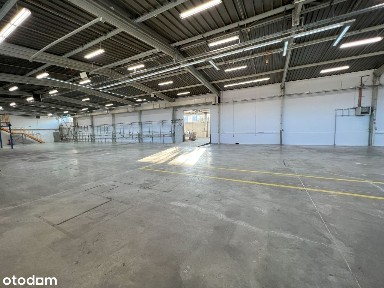Hala magazynowo-produkcyjna 2600 m2 przy S1 +pow. biurowo-socjalna 740