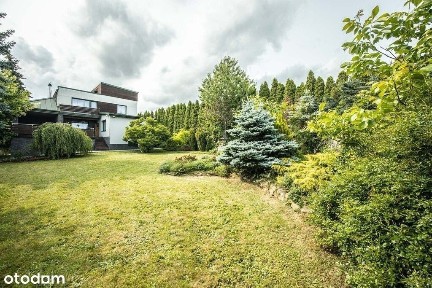 ul. Różana, Piotrków Trybunalski, łódzkie