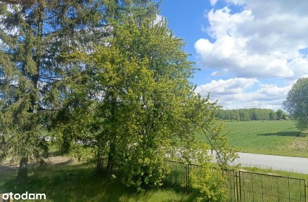 Dom, 200 m², Drelów