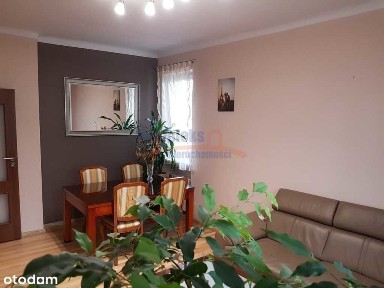 ul. Herbowa, Śródmieście-Północ, Śródmieście, Szczecin, zachodniopomorskie