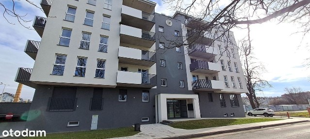 Brzeg, brzeski, opolskie