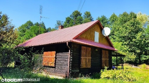 leśniczówka - środek puszczy w Lasach Janowskich