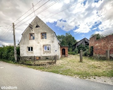 CISZA, klimat, charakter.