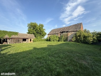 Dom z potencjałem + duża działka 2925 m² | Janków, gm. Pleszew