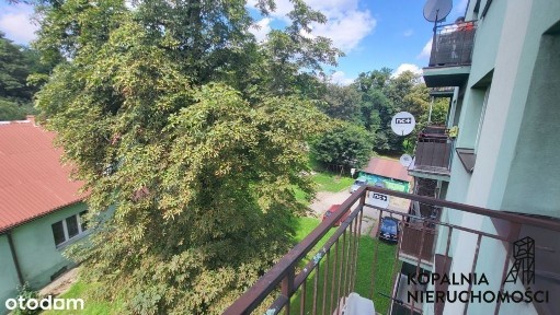 ul. Obywatelska, Rydułtowy, wodzisławski, śląskie