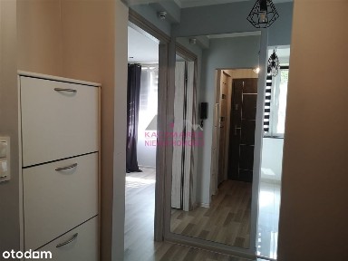 Pszczyna, pszczyński, śląskie