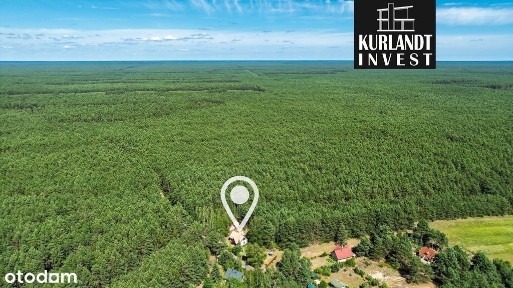 Dom z lasem Kowalskie Błota Bory Tucholskie