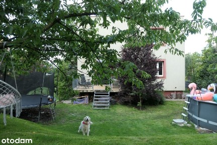 Kwidzyn, kwidzyński, pomorskie