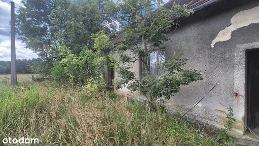 Dom do remontu na sprzedaż