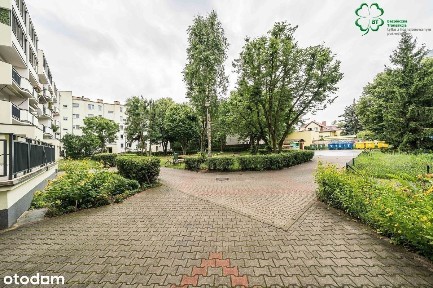 ul. Międzyborska, Junikowo, Grunwald, Poznań, wielkopolskie