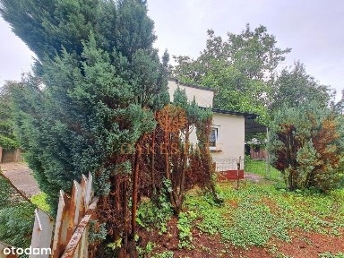 Parterowy dom z ogrodem spokojna okolica.