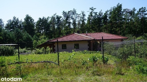 Bungalow pięknie położony,prawie bez opłat eksploatacyjnych