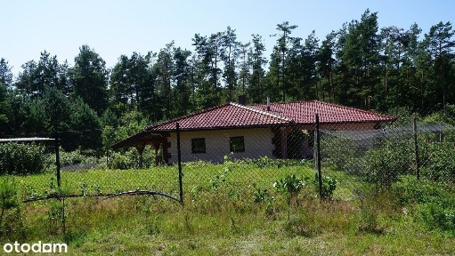 Dąbrówka, Luzino, wejherowski, pomorskie