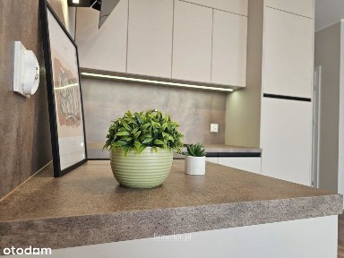 Kawalerka - idealna pod wynajem/ bez Pcc, parking