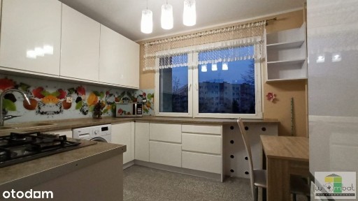 Świdnica, świdnicki, dolnośląskie