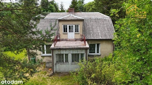 Dom z dużą działką i zabudowaniami - Wysokie