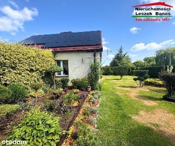 Dom z dużą działką