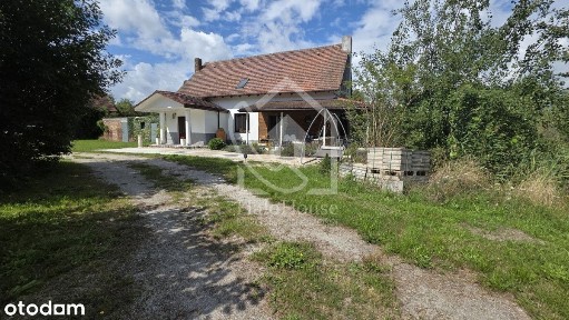 Jabłoniec, Jasień, żarski, lubuskie