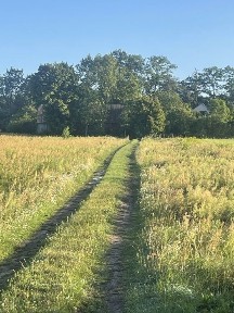 Sprzedam siedlisko 8800m2 dom stodola budynki gospodarcze Wujówka