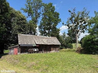 Siedlisko Gródek koło Tomaszowa Lubelskiego